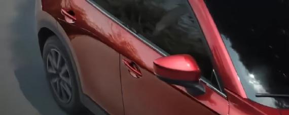 十五年的车取消一年两审了吗