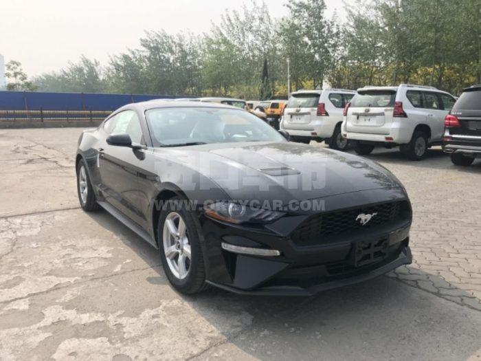 微信图片_20190509092733