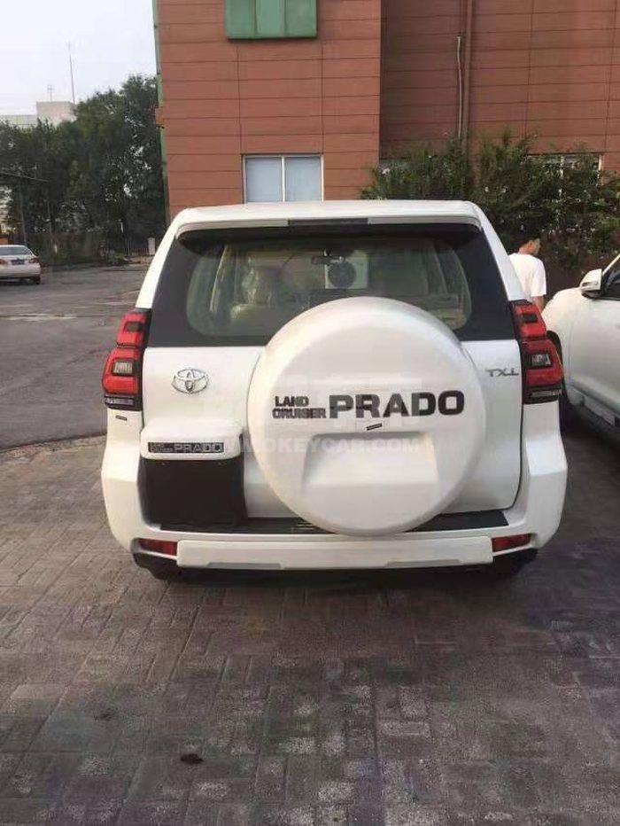 微信图片_201910111306086