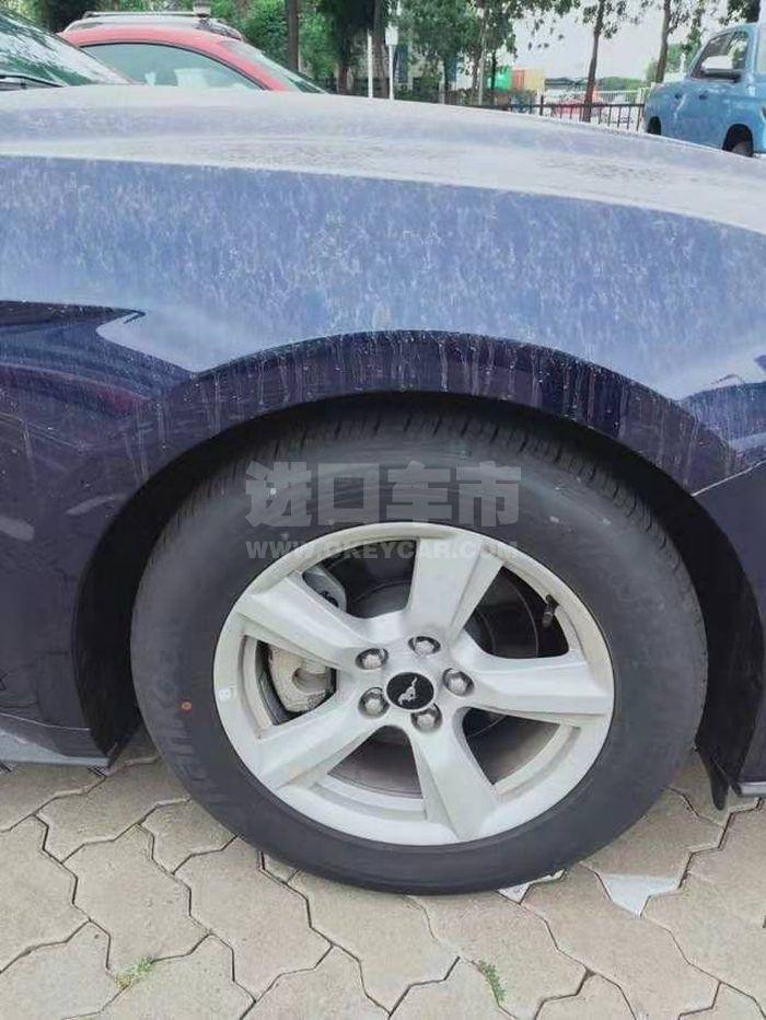 微信图片_201910111305304