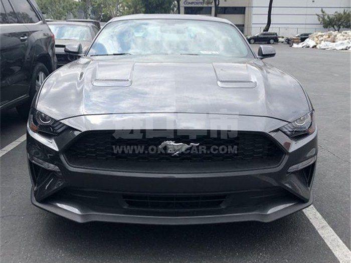 b9ffcf9809b269a43670fb9adabe56dd