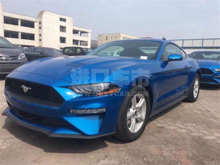 0e6f29961532231a06292dceb32645a7