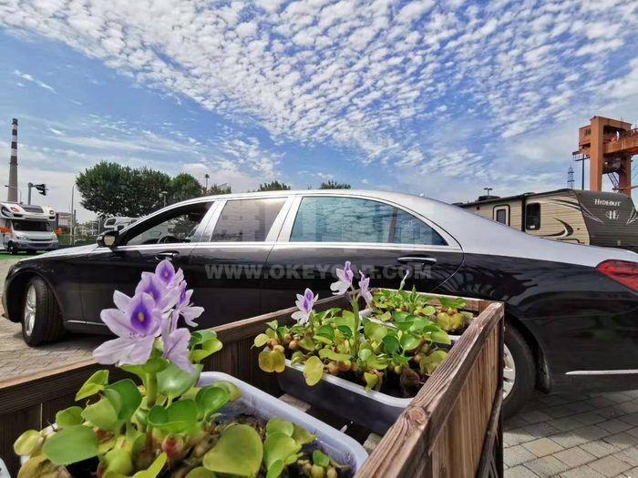 f5241f637de347c6625ed0a56c4c54f