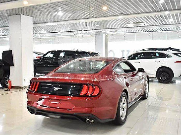 aff9e5eef6c6b3ff6c488c33a9b3561a