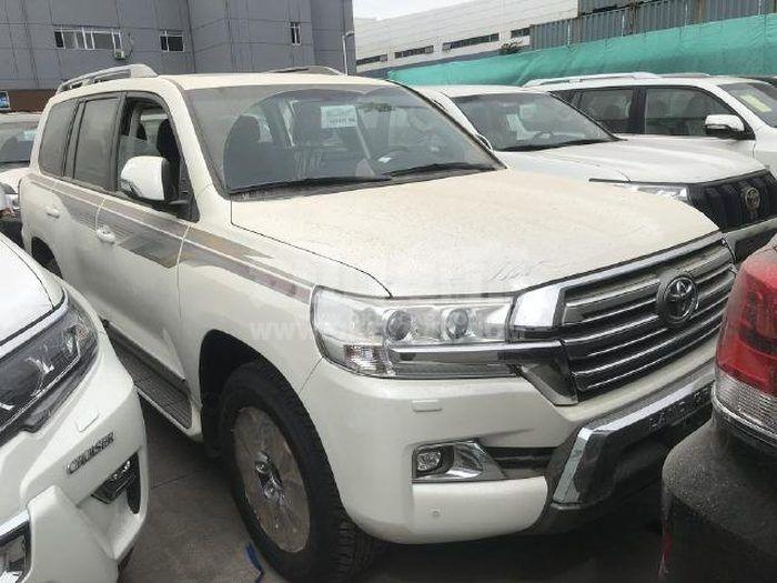 020520191024095817077810640