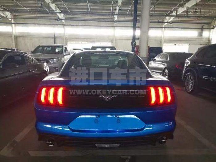 微信图片_201912201441562