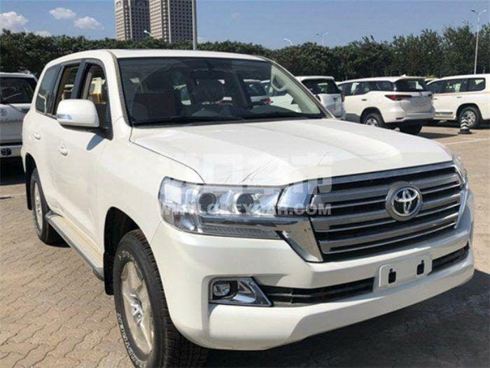 020220191202103052098810700