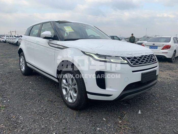 020220191226101154068210700