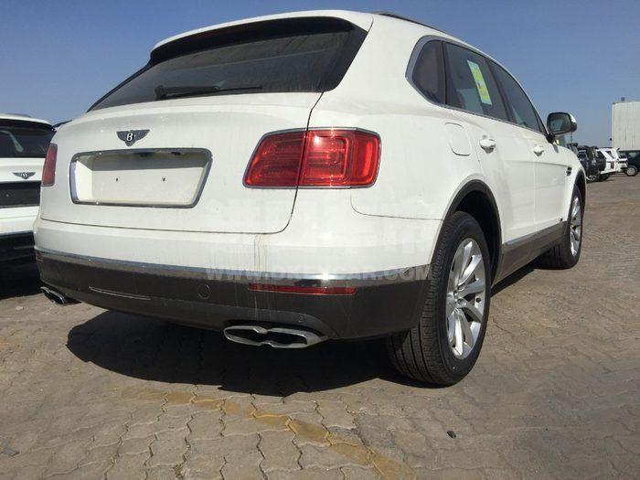 023047fd887849a1b76697f3b5cc04ae